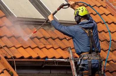 Démoussage et hydrofuge de toiture à Celle-Lévescault